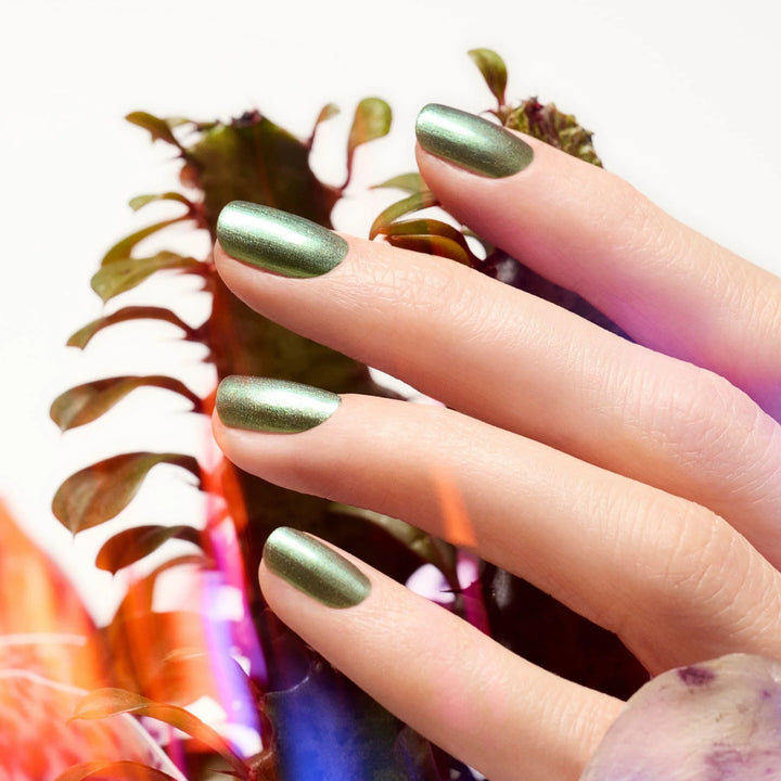 Groove - Vernis classique