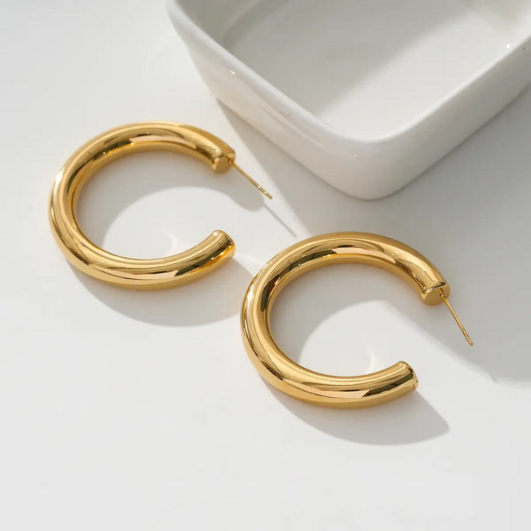 Boucles d'oreilles - Vienne