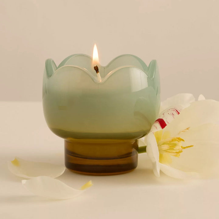 Bougie Tulip - Wisteria & Willow