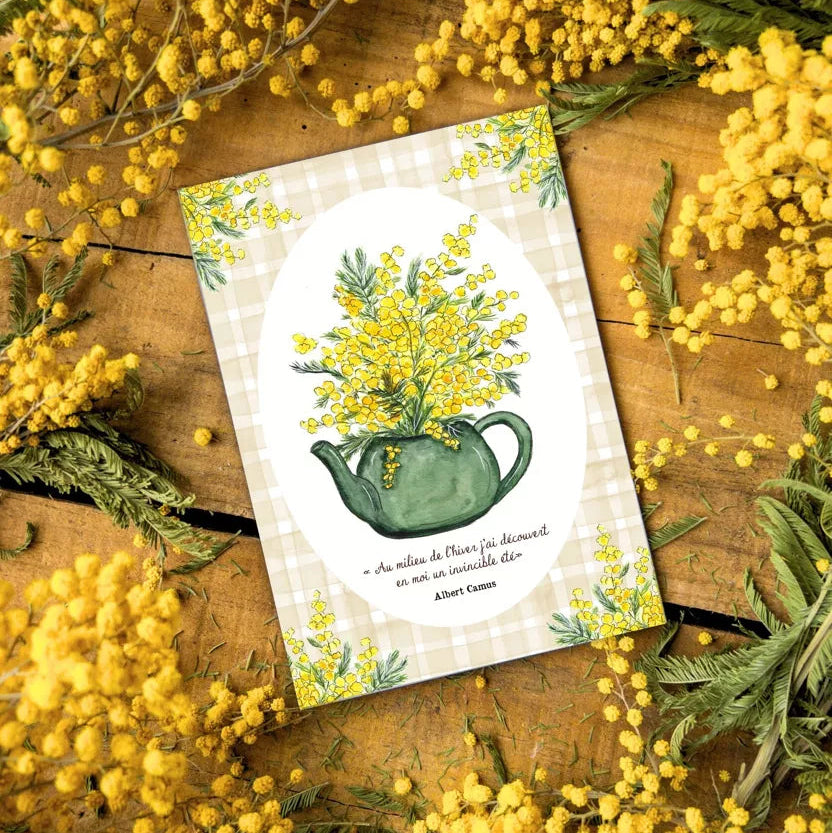 Carte - Mimose
