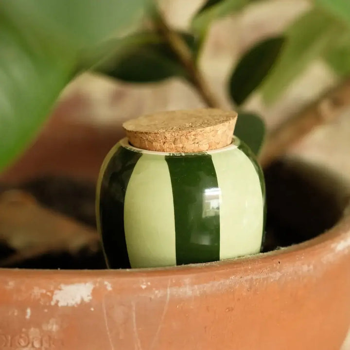 Olla -  Rayé vert