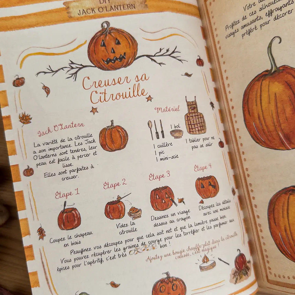 Cahier d'activités - le temps d'un automne