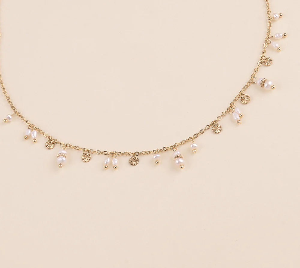 Collier OLLI
