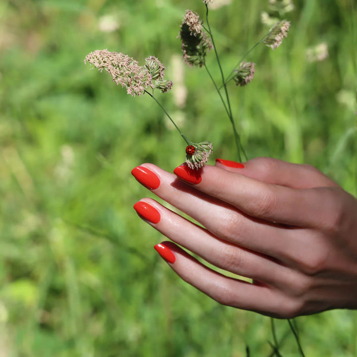 Read corail- Vernis classique