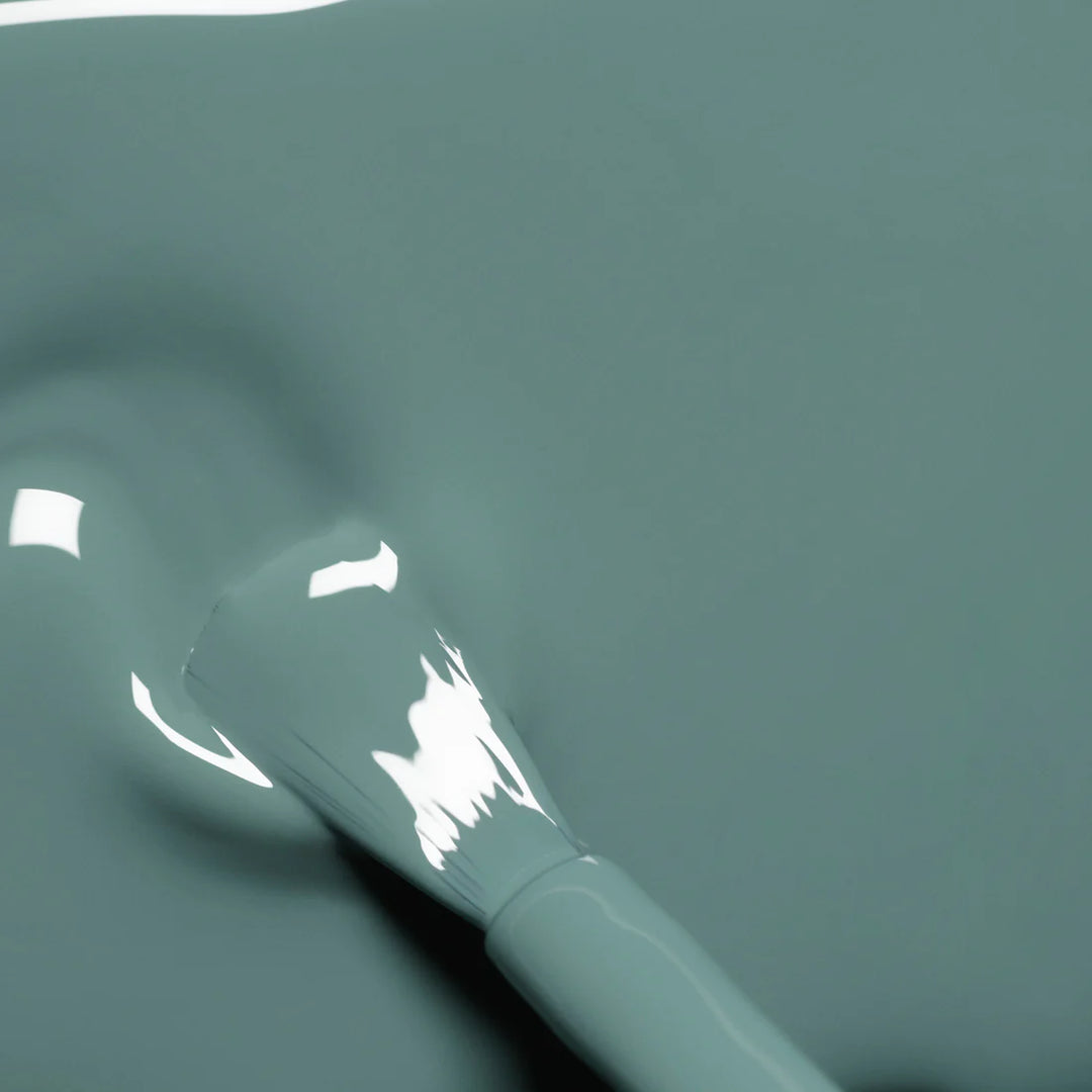 Sauge - Vernis classique