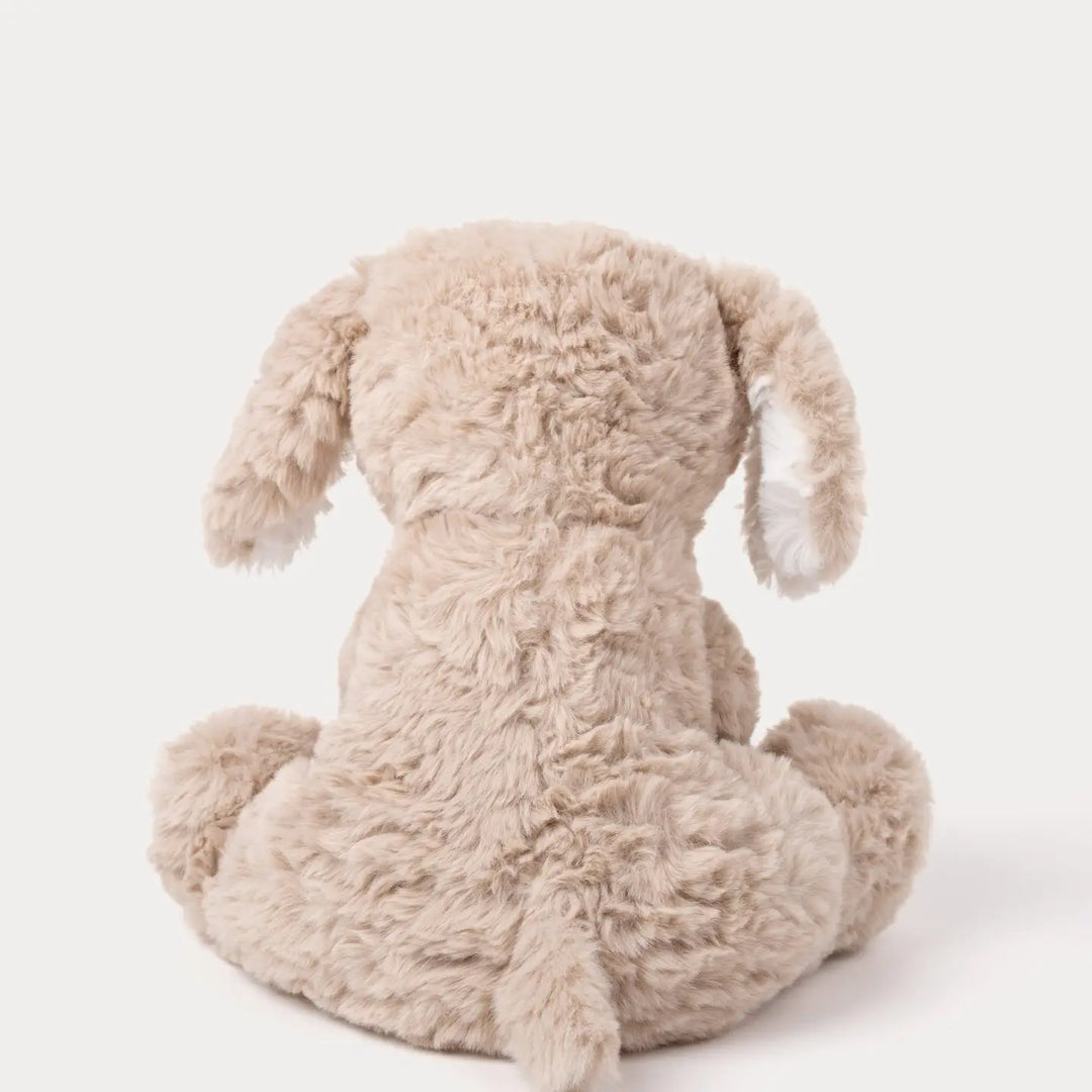Doudou Chien Hasse